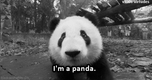 sou panda