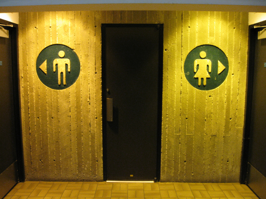A lei HB2 estabelece que as pessoas devam usar banheiros correspondentes ao seu sexo de nascimento em escolas e prédios públicos