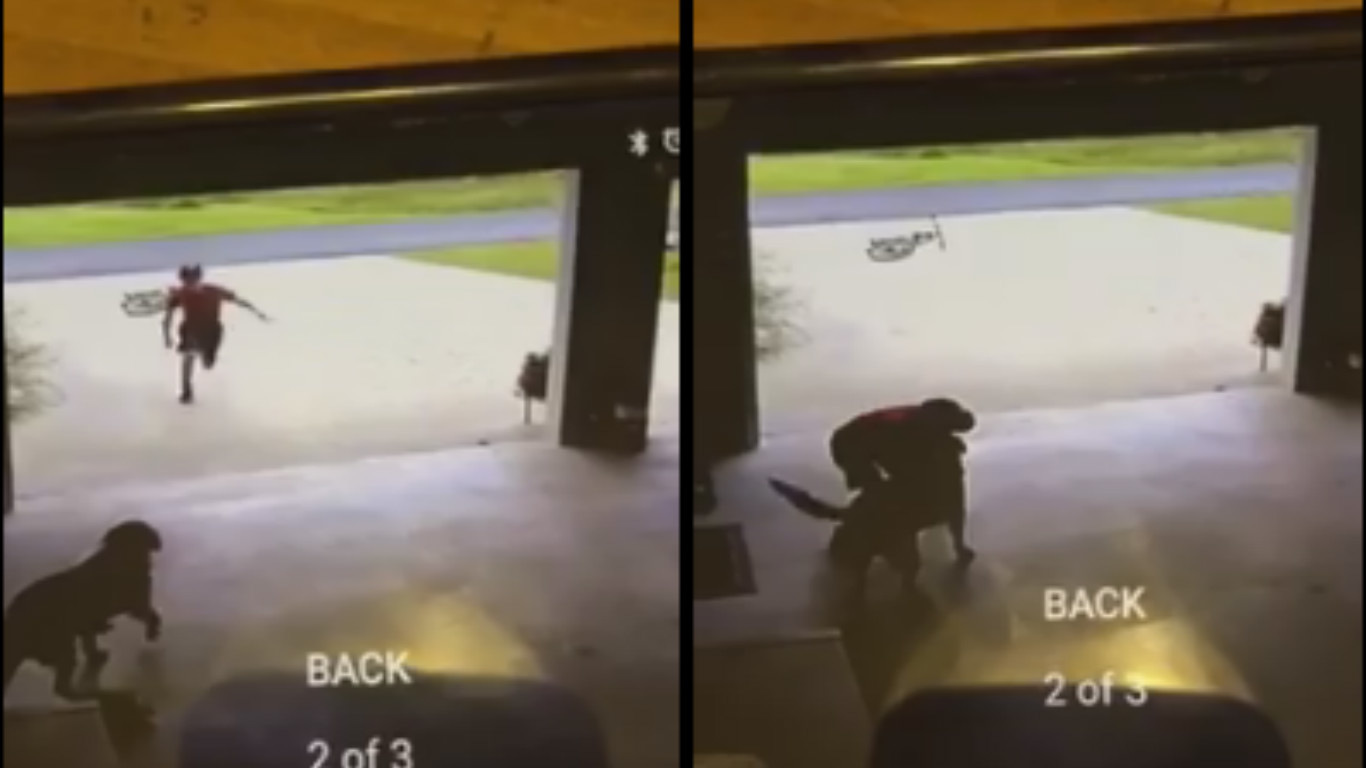 Garoto invade garagem só para roubar um abraço de uma cachorrinha