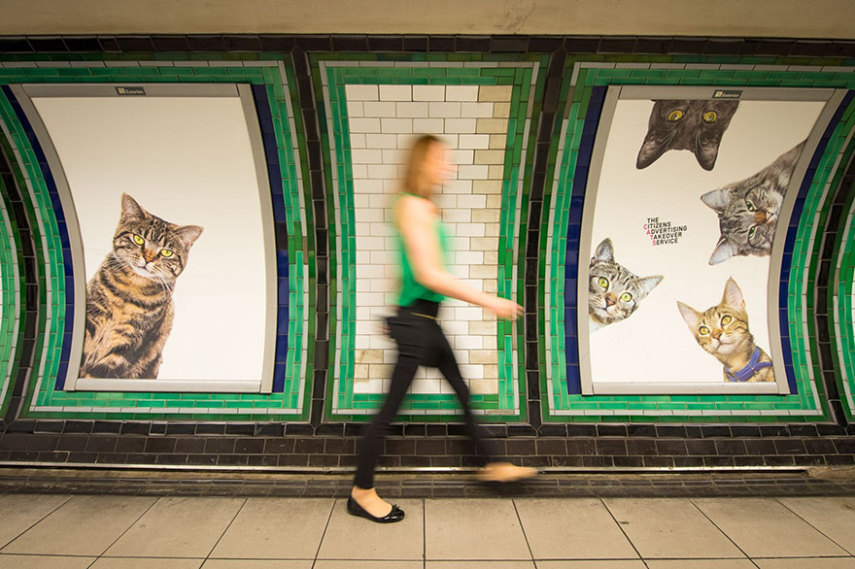 Anúncios de gatos em estação do metrô de Londres