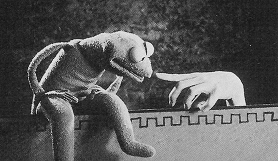 Caco estreou na TV no Sam and Friends, de 1955, que foi também o primeiro programa de Jim Henson. Naquela época o sapo ainda era diferente e nem tinha o nome de Kermit. Mas foi seu sucesso que inspirou Henson a continuar investindo nas marionetes.