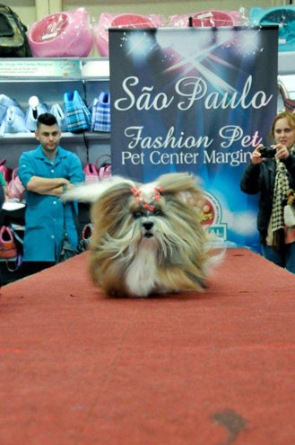 São Paulo Fashion Pet 2012