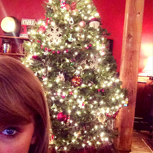 Taylor Swift, além de mostrar, de um jeito hipster, sua árvore...