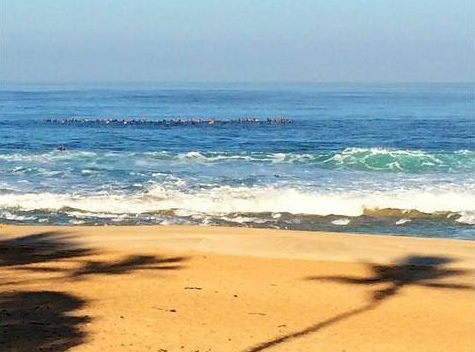 Kelly Slater posta foto com homenagem de surfistas a Ricardo dos Santos
