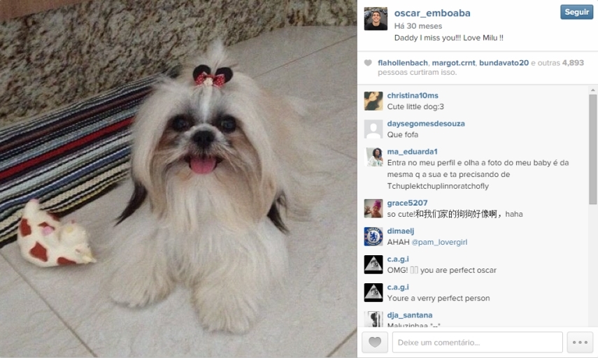 Meia do Chelsea, o brasileiro Oscar é outro amante de cachorros