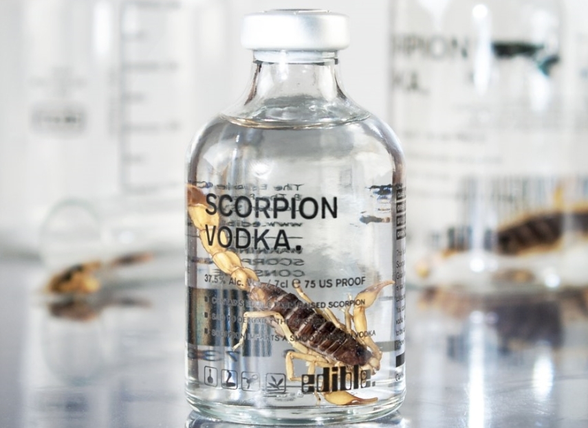 'Garçom, tem um escorpião na minha vodca!'. Essa bebida aqui, chamada Scorpion Vodka, leva um escorpião venenoso de verdade, mas não há perigo. O aracnídeo passa por um processo de três meses de desintoxicação e, segundo o fabricante, dá um gosto 'amadeirado' para a bebida, feita de arroz