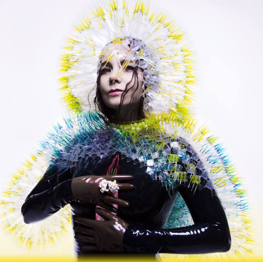 Björk iniciou os estudos de música aos cinco anos