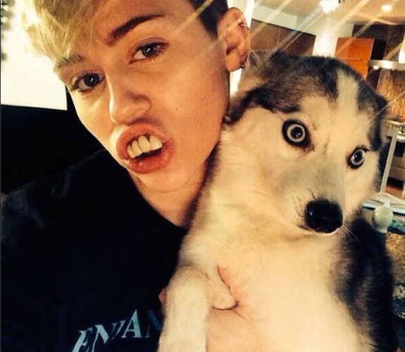 Não sei qual é a melhor parte dessa foto: a Miley com essa dentadura bizarríssima ou o cachorrinho, que parece super assustado.