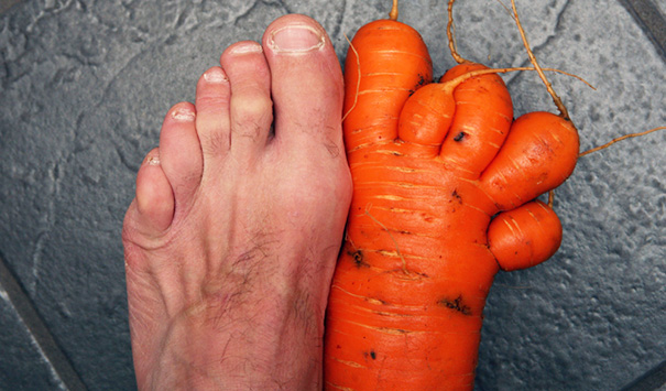 Este fazendeiro colheu uma cenoura bem parecida com o pé dele
