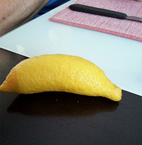 Este limão saiu com formato de uma banana