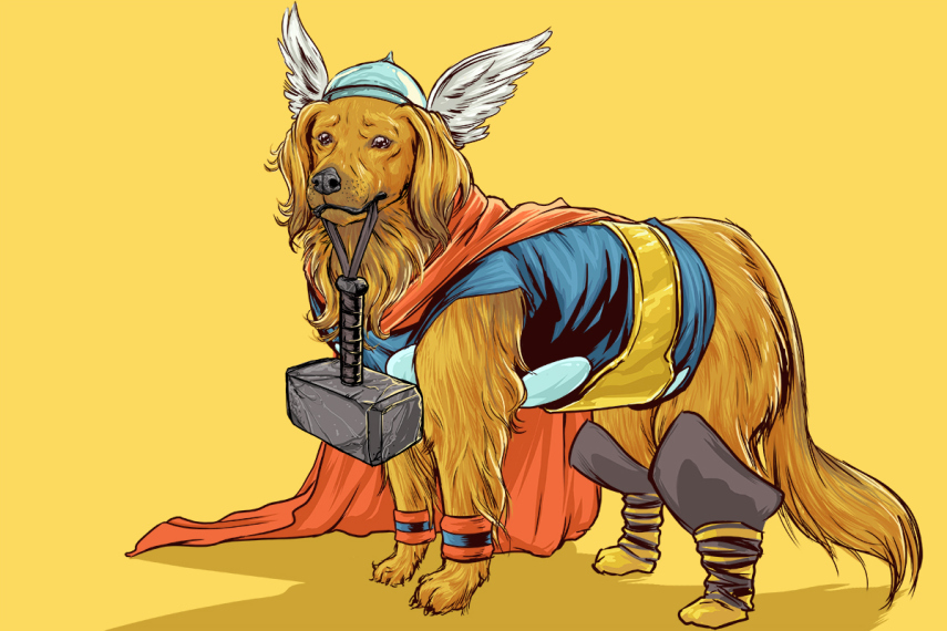 Josh Lynch, de Minnesota, nos EUA, colocou uniforme de heróis e vilões da Marvel em cães