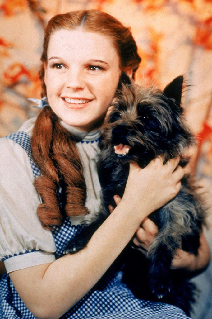 A atriz encantou o mundo ao interpretar com todo o seu ruivismo a inocente Dorothy Gale em 