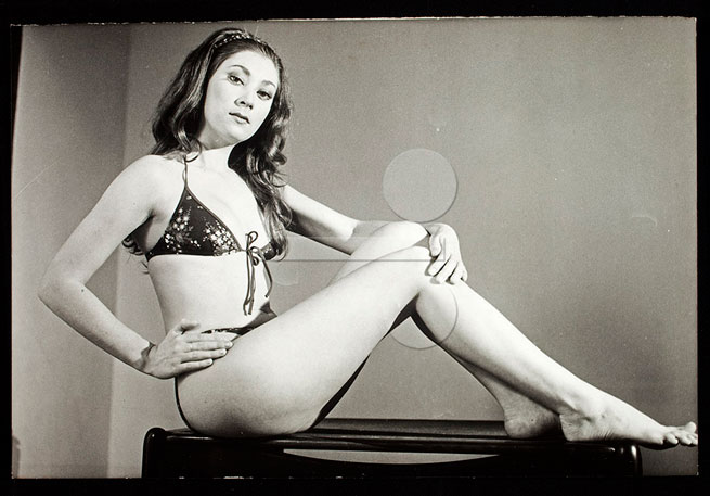 Helena Ramos foi a grande dama da pornochanchada brasileira. Em apenas 10 anos, entre 74 e 84, estrelou nada menos do que 40 filmes