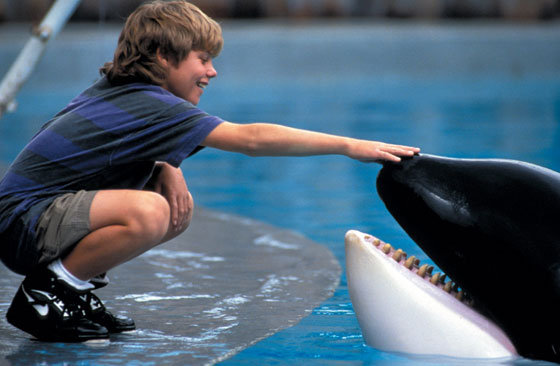 A orca mais famosa dos anos 1990
