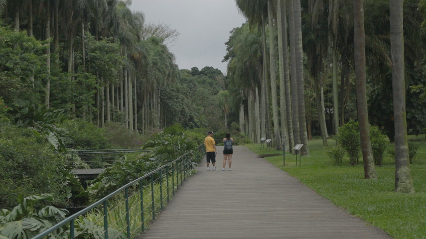O Jardim Botânico é um espaço de conservação e contemplação da natureza, por isso atividades como andar de bicicleta e jogar bola são proibidas