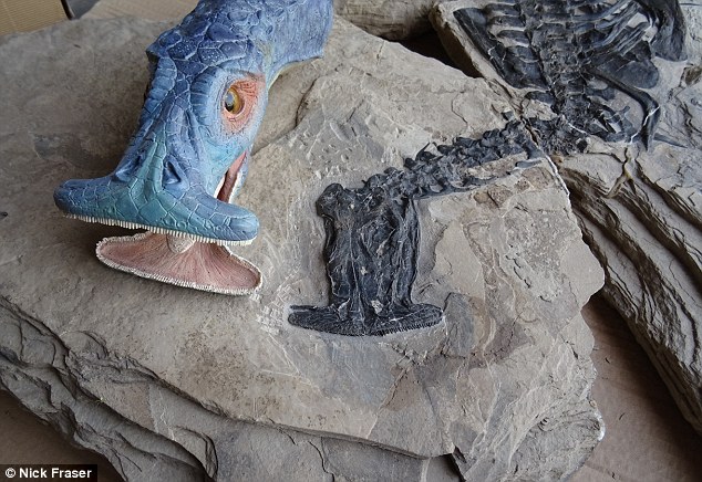 Novos fósseis desse dinossauro com curioso formato de sua mandíbula fizeram pesquisadores se surpreender. Chamado de Atopodentatus unicus, este dinossauro foi descoberto pela primeira vez na China em 2014 e novas pesquisas mostraram que este é primeiro exemplo de réptil marinho herbívoro catalogado.  O animal possuía uma fileira de dentes bem finos que, quando encaixados em sua mandíbula, funcionavam como um filtro para reter plantas da água. 