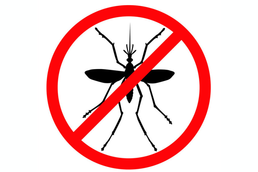 Existem vários apps que usam o celular para emitir uma frequência que supostamente espantam determinados insetos. Vale testar.
