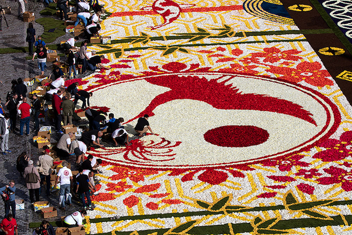 Tradição do tapete de flores em Bruxelas