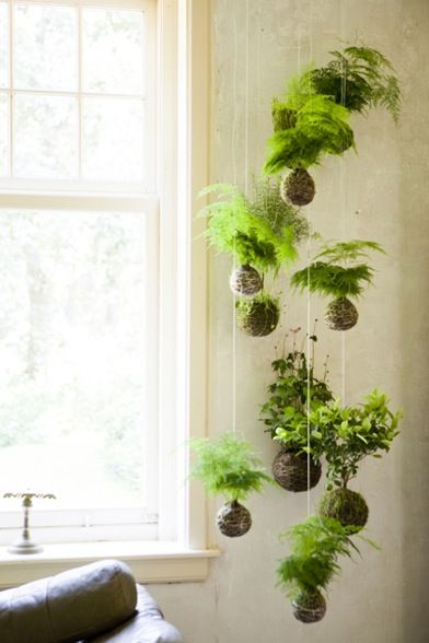 Ter um cantinho verde em casa reduz o estresse e aumenta a beleza! Então, se liga nestas ideias de como ter plantas em apartamentos e casas pequenas