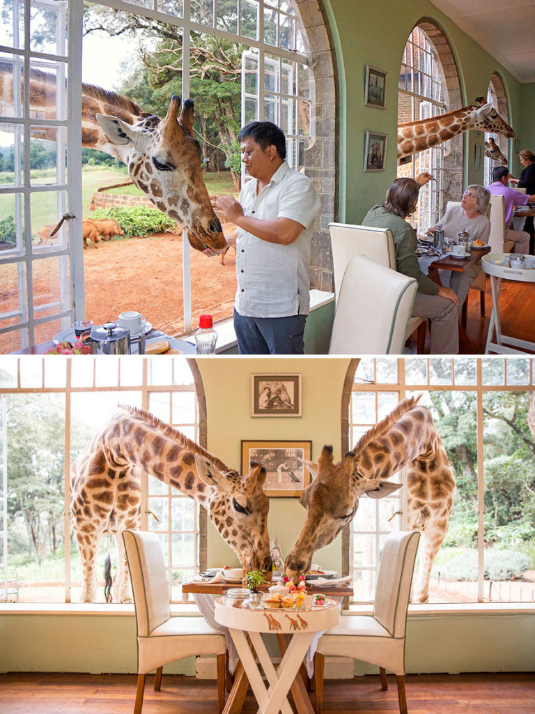 Giraffe Manor, Langata (Quênia)