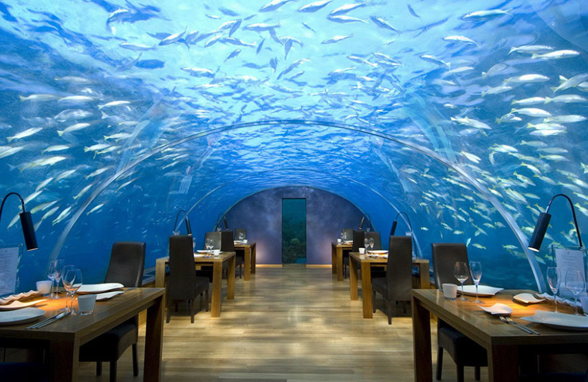 Ithaa Undersea Restaurant, Alif Dhall Atoll (Maldivas) 