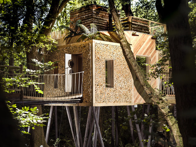 Esta casa na árvore, na Inglaterra, foi construída para um casal e tem sauna, chuveiro externo, cozinha equipada e corrimão para deslizar até o chão