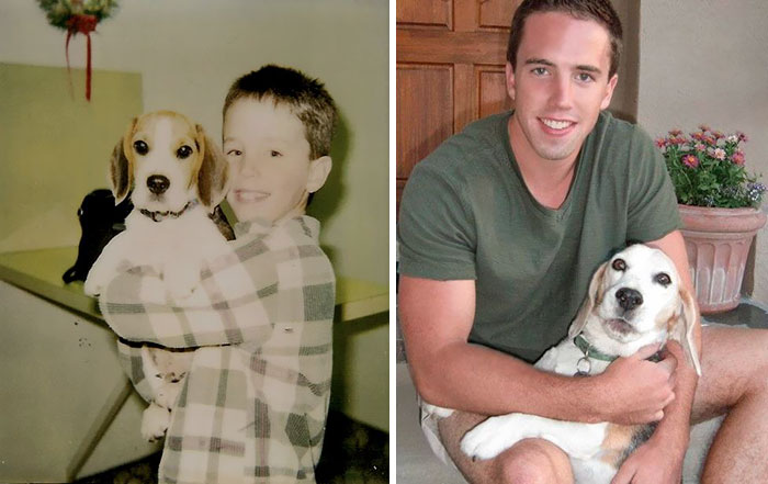 Antes e depois, pessoas e cachorros que cresceram juntos