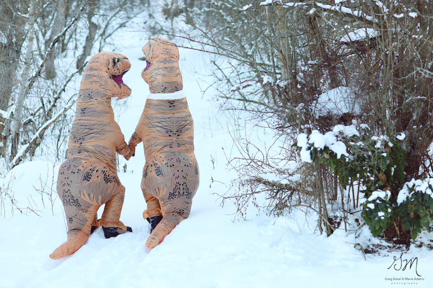 Os fotógrafos profissionais Greg Basel e Maria Adams decidiram fazer um ensaio pré-casamento um pouco diferente para espalhar diversão por aí. Para isso, eles resolveram que iriam fotografar dois T-Rexs em momentos super românticos