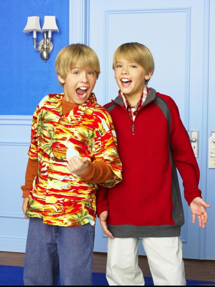 As gêmeas Olsen podem ser as gêmeas mais ricas do mundo atualmente, mas os gêmeos Sprouse seguiram bem os seus passos, desde que estrelaram O Paizão, com Adam Sandler. Depois disso, eles passaram a estrelar o próprio show na Disney, The Suite Life of Zack e Cody, e depois The Suite Life on Deck. Eles já são maiores de idade agora, mas em 2007 (aos 14 anos) eram os atores adolescentes mais bem pagos da Disney na TV, fazendo US$ 40 mil por episódio. Os gêmeos também lançaram sua própria marca, incluindo roupas e uma revista, através da empresa Gemins Olsen, Dualstar Entertainment.