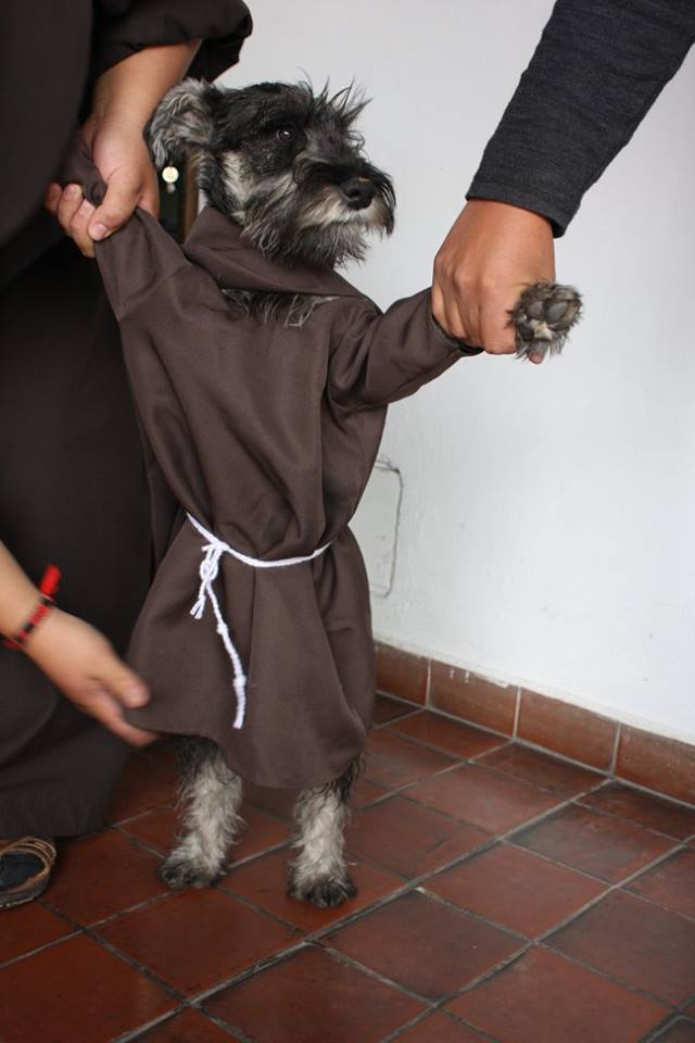 Cachorro vira monge na Bolívia