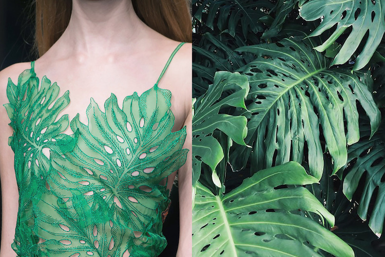 Fotos lado a lado mostram como a moda se inspira na natureza