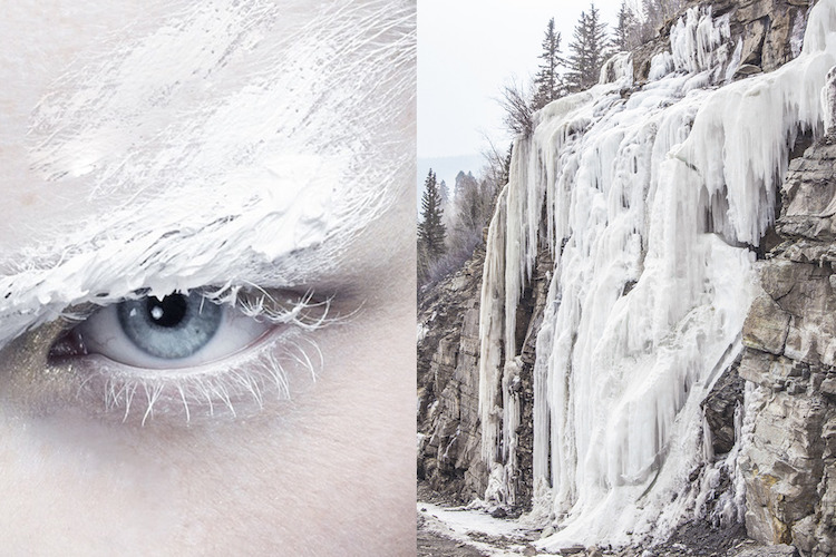 Fotos lado a lado mostram como a moda se inspira na natureza