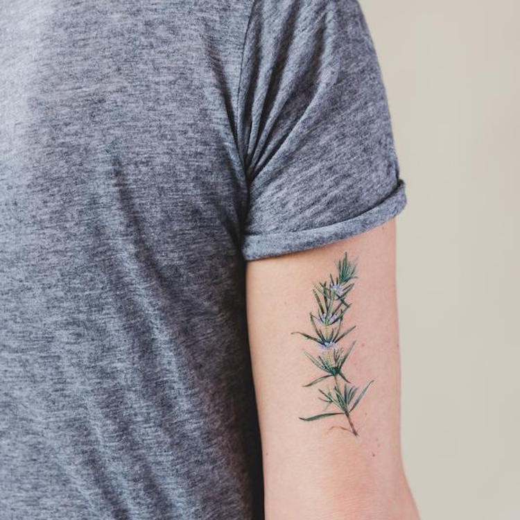 Essas tattoos temporárias ainda vêm com o perfume natural de plantas como salsa, tomilho, alecrim e sálvia. Delícia!