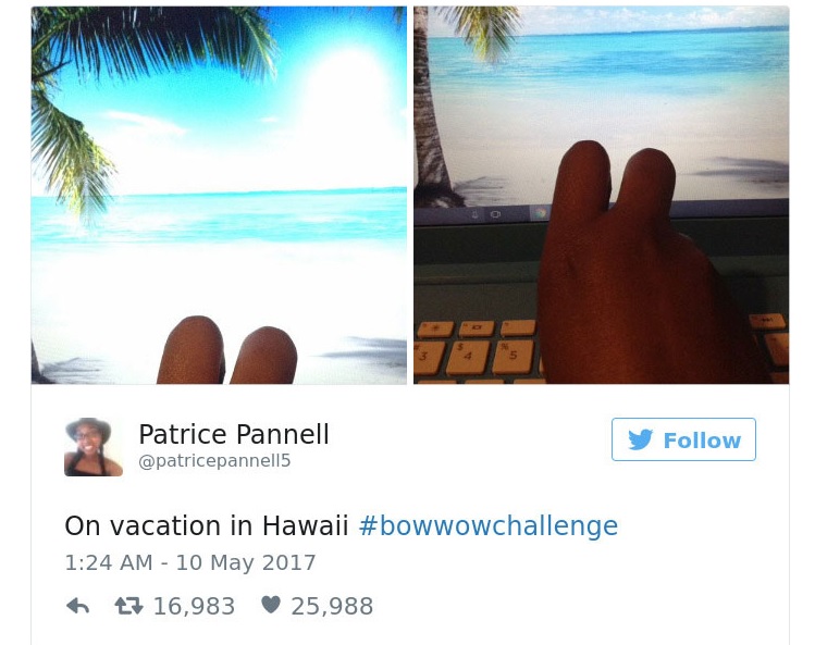 O rapper Bow Wow publicou no Instagram que iria voar para Nova York em seu jato particular, mas foi desmascarado por um usuário do Snapchat que estava viajando ao lado do artista em um voo doméstico.  O post da mentira viralizou e deu início a um novo e hilário desafio que está bombando no Twitter, o #BowWowChallenge.