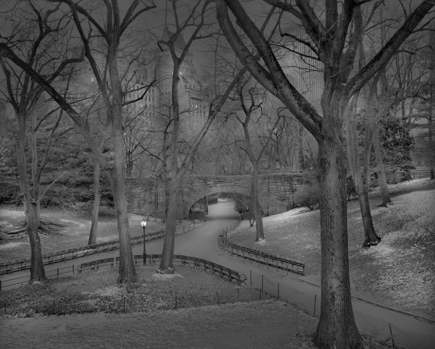 O fotógrafo Michael Massaia aproveitou noites e noites de insônia para capturar a essência do parque de Nova York, nos Estados Unidos, quando não havia ninguém nele