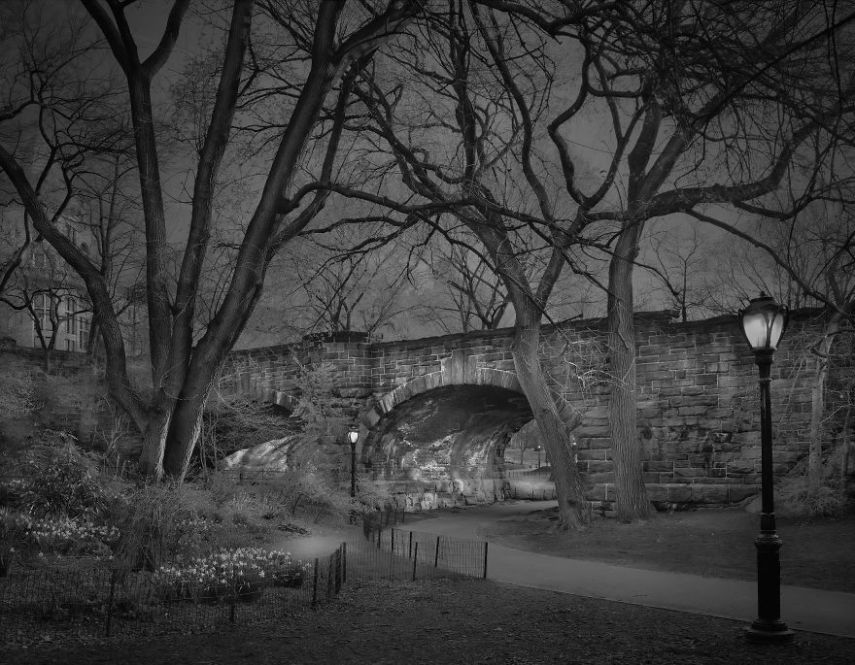 O fotógrafo Michael Massaia aproveitou noites e noites de insônia para capturar a essência do parque de Nova York, nos Estados Unidos, quando não havia ninguém nele