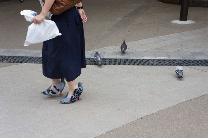 Uma mulher foi fotografada usando sapatos em forma de pombos nas ruas do Japão