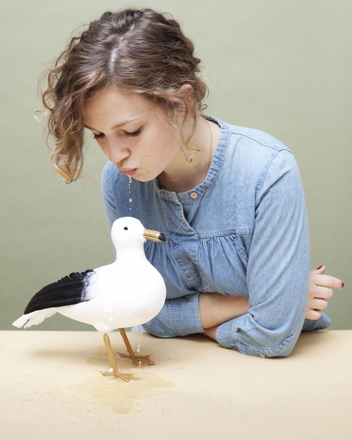 Em Virginia, você pode tomar uma multa caso seja flagrado cuspindo em uma gaivota