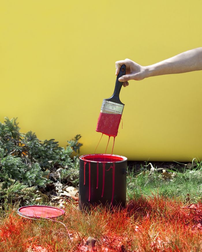 Em Kentucky, ninguém pode dar uma de espertinho e pintar o gramado de vermelho. Proibidão.