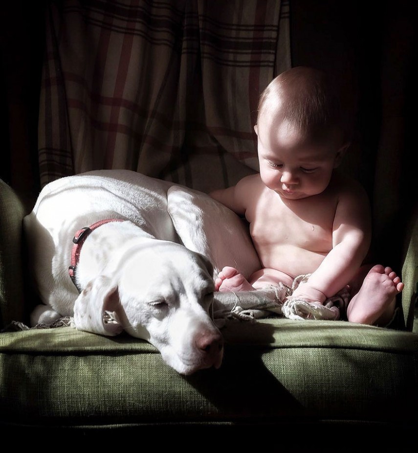 Amizade entre cachorra e bebê faz sucesso na web. Para acompanhar, é só seguir @wellettas no Instragram