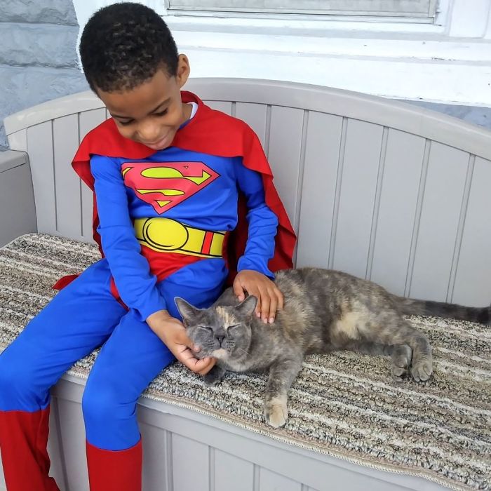 Shon Griffin se veste como seus heróis favoritos para salvar gatos de rua