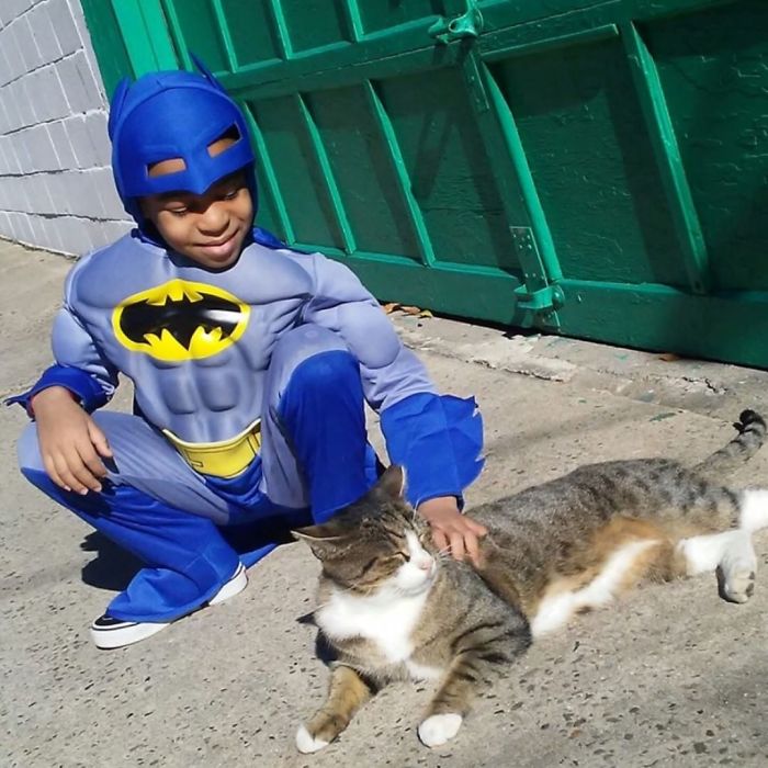 Shon Griffin se veste como seus heróis favoritos para salvar gatos de rua