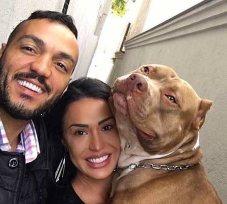 Cachorro da raça pitbull de Gracyanne Barbosa vira celebridade