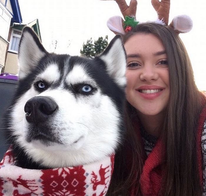 Jasmine fez um ensaio natalino com seu cachorro Anuko, que tem essa carinha rabugenta. As fotos fizeram um baita sucesso e viralizaram