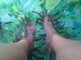 Mulher perde dedos do pé após pedicure com peixes