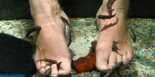 Mulher perde dedos do pé após pedicure com peixes