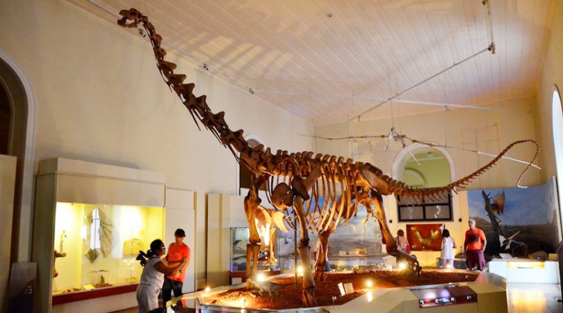 Primeira ossada de dinossauro de grande porte a ser montado no Brasil, o Maxakalisaurus topai era uma das estrelas do acervo. A sala dos dinossauros foi reaberta em julho, após 