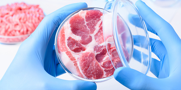 Empresa produz bife bovino em laboratório