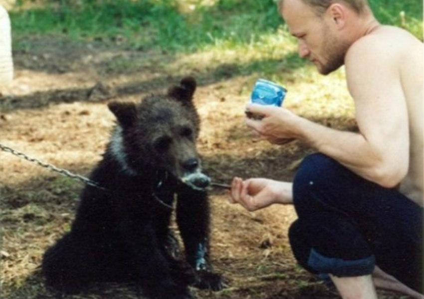 Urso mata caçador que criava bicho em gaiola
