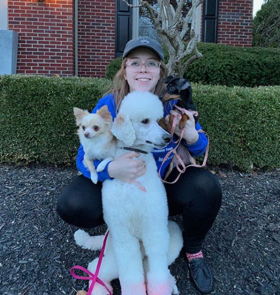 Haley Bennett, dona de Stella, Opal e Lilah, gosta de pintar os pelos dos cachorros, apesar das críticas